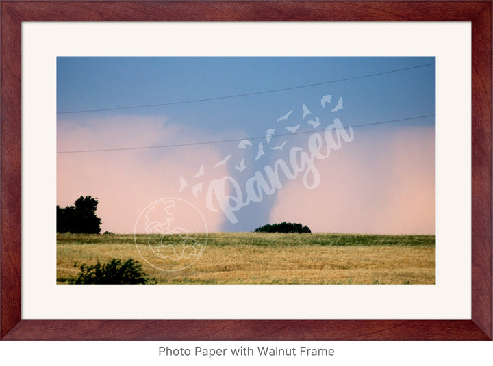 Storm Chasing Wall Art: The Kansas Tornado